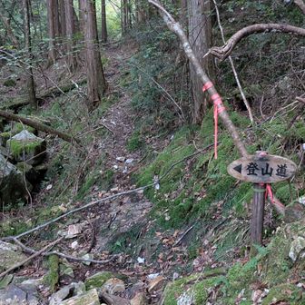 真っ直ぐは、ダメ。