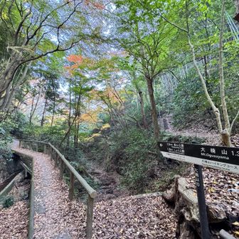 わずかに紅葉を残す登山口到着、登山口にはトイレもありました（今回は早々に帰路につきましたが、次回は阿部倉温泉に立ち寄るのもいいな）