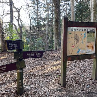 ひと登りして、小仏峠。