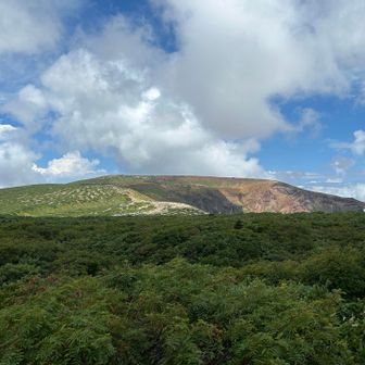 午後からは雨予報。今なら晴れのまま登れそー