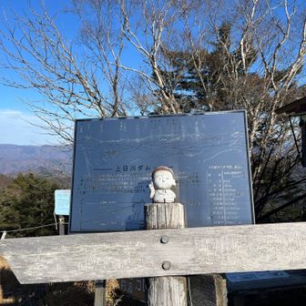 さとー