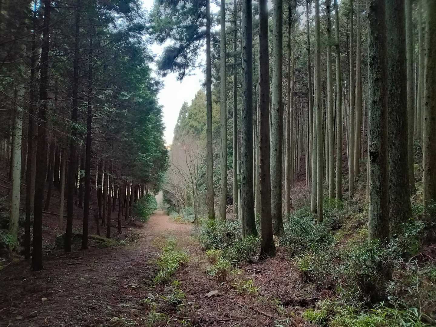 無事に麓エリアまで