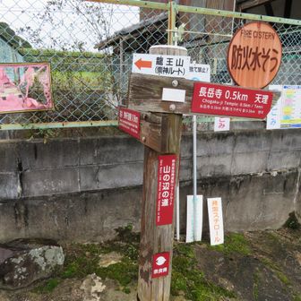 案内標識は沢山あって助かります。
