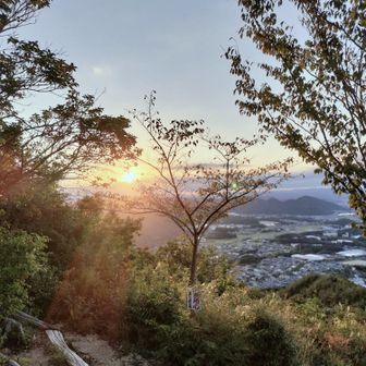 朝日です