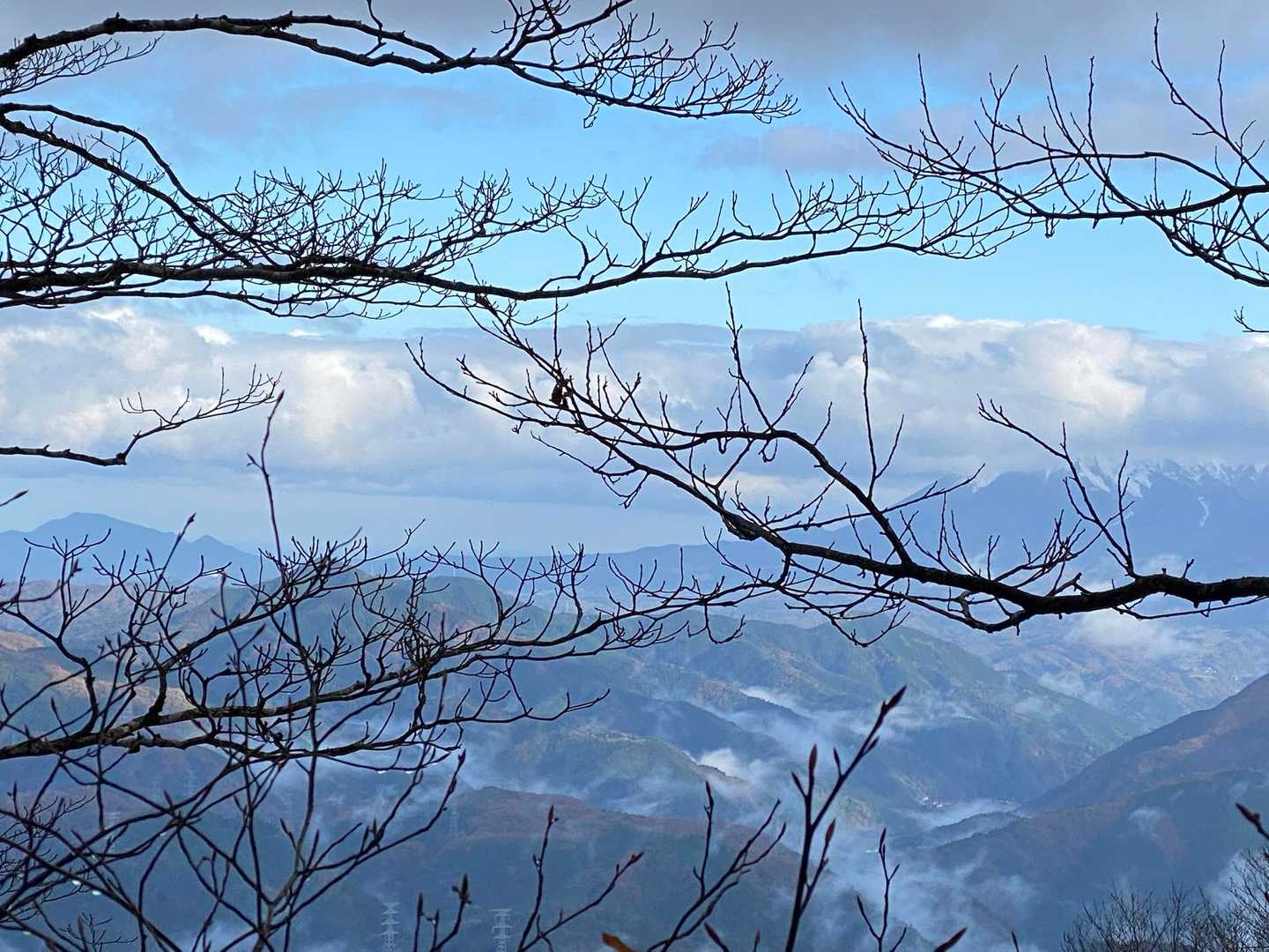 木の間から、大山が見えます！