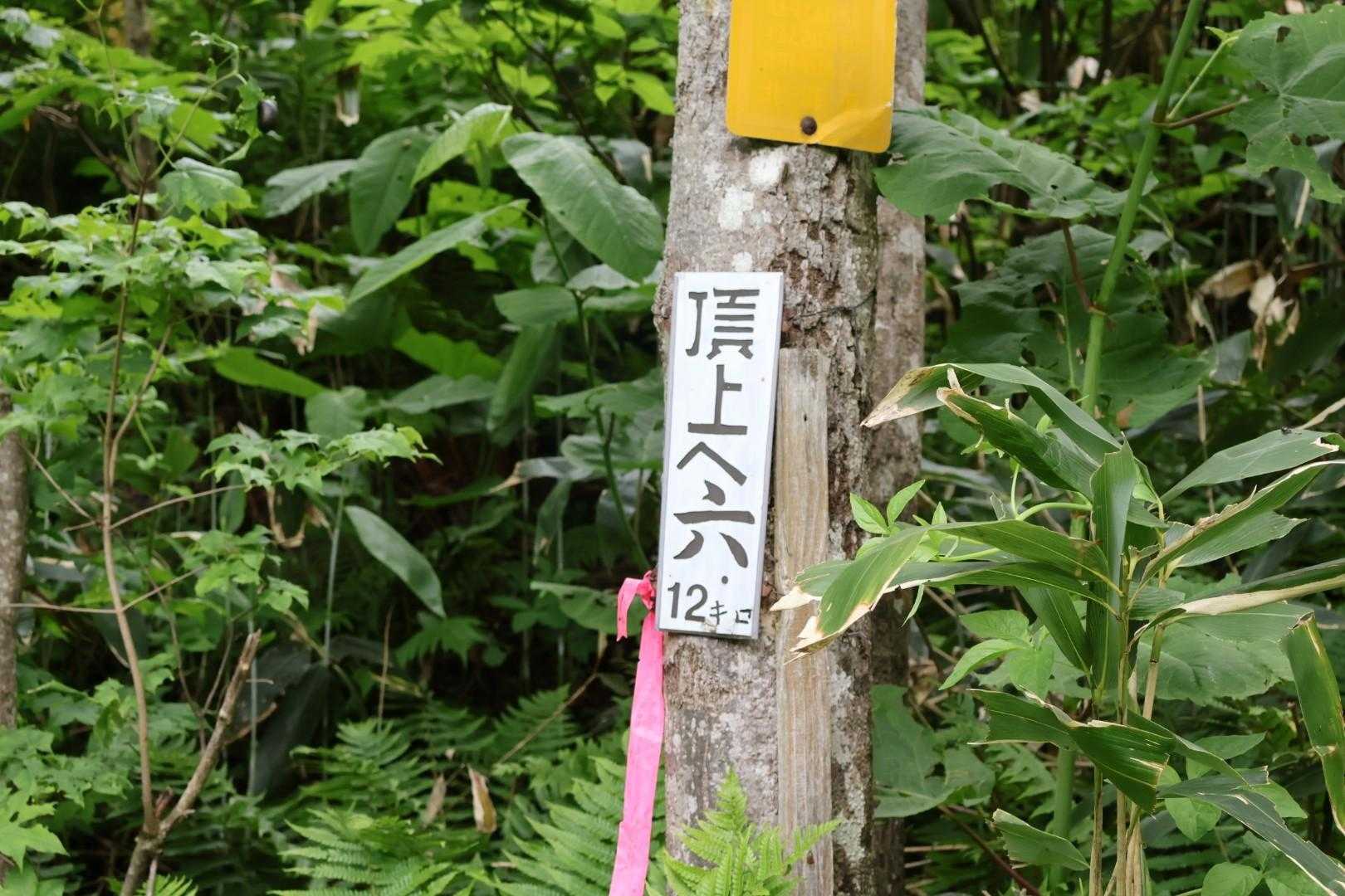 数字の部分だけ見てびっくりした🤭笑