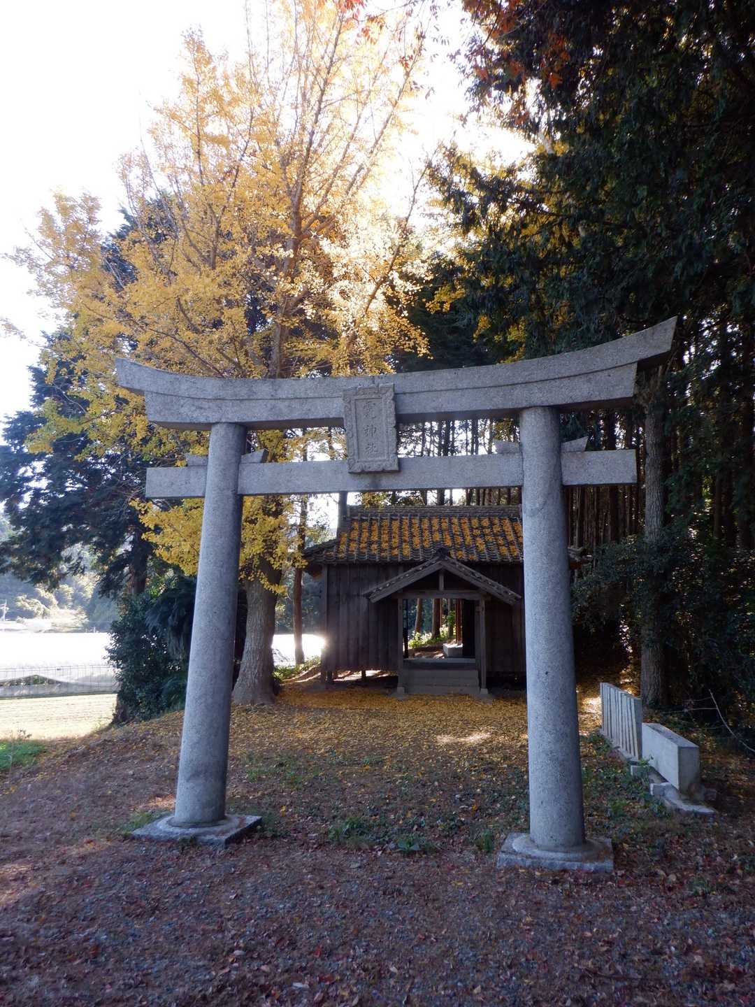 内野山の写真