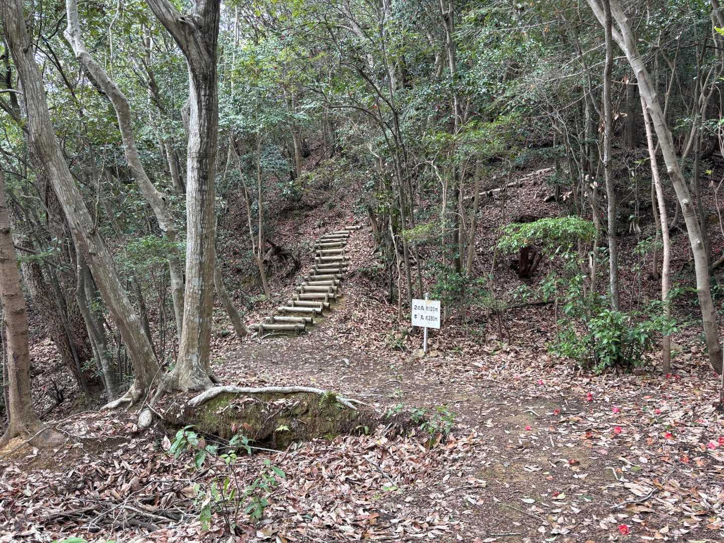 臥龍山 周回コースの写真