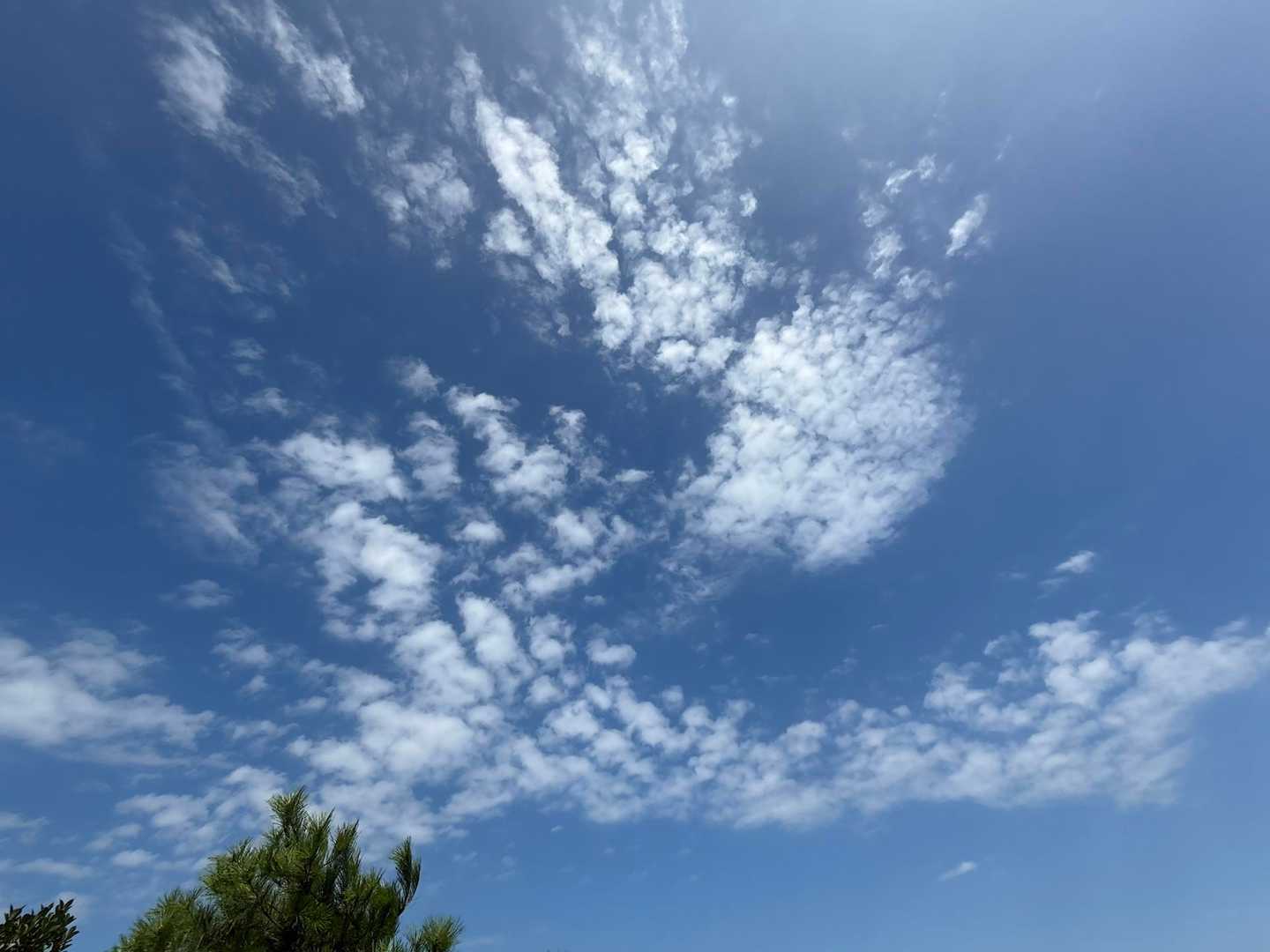 秋は🍂来てる

鱗雲☁️☁️☁️☁️