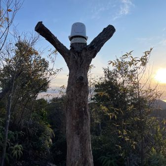 元気なバケツ君🪣