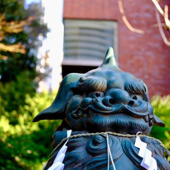 こういう顔の人いる…