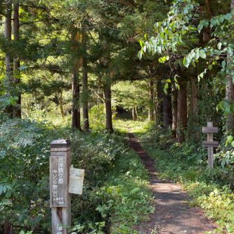 キリンテ登山口到着でーす！
ラストスパートはまだでした笑
ここから国道を5kmほど歩きます。