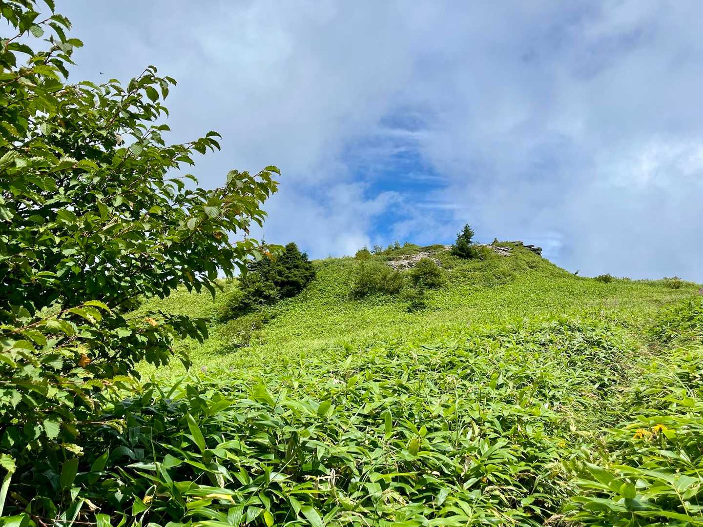 向かう先の小根子岳