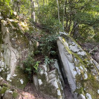 お気に入り🪨
足を痛めないようにゆっくりと下山🚶‍♀️