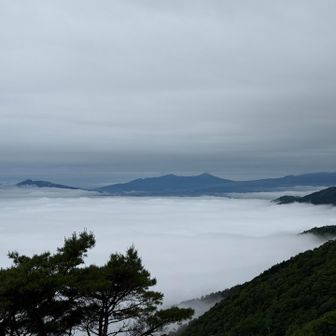 花立さんそう手前の階段までくると、後ろには雲海🤩🤩