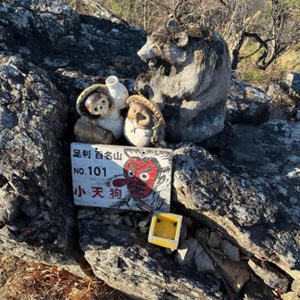 小天狗山到着👺
カミさんはこのたぬきさんの置き物に惚れたみたいです🐾