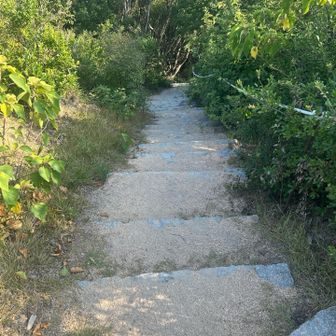 高倉山への道。
激下りということは、帰りは激登りということです。

約束された驚異の登り😅