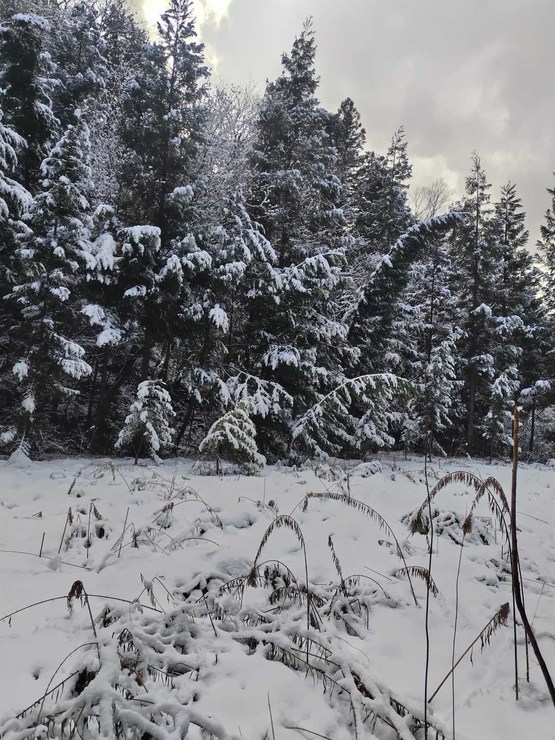 何となく冬山っぽいですね❄️