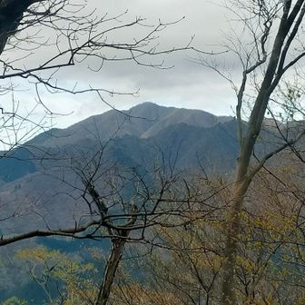 木々のスキマから大山
曇って暗くなってきた💦
風も雨降る風になってきた💦💦