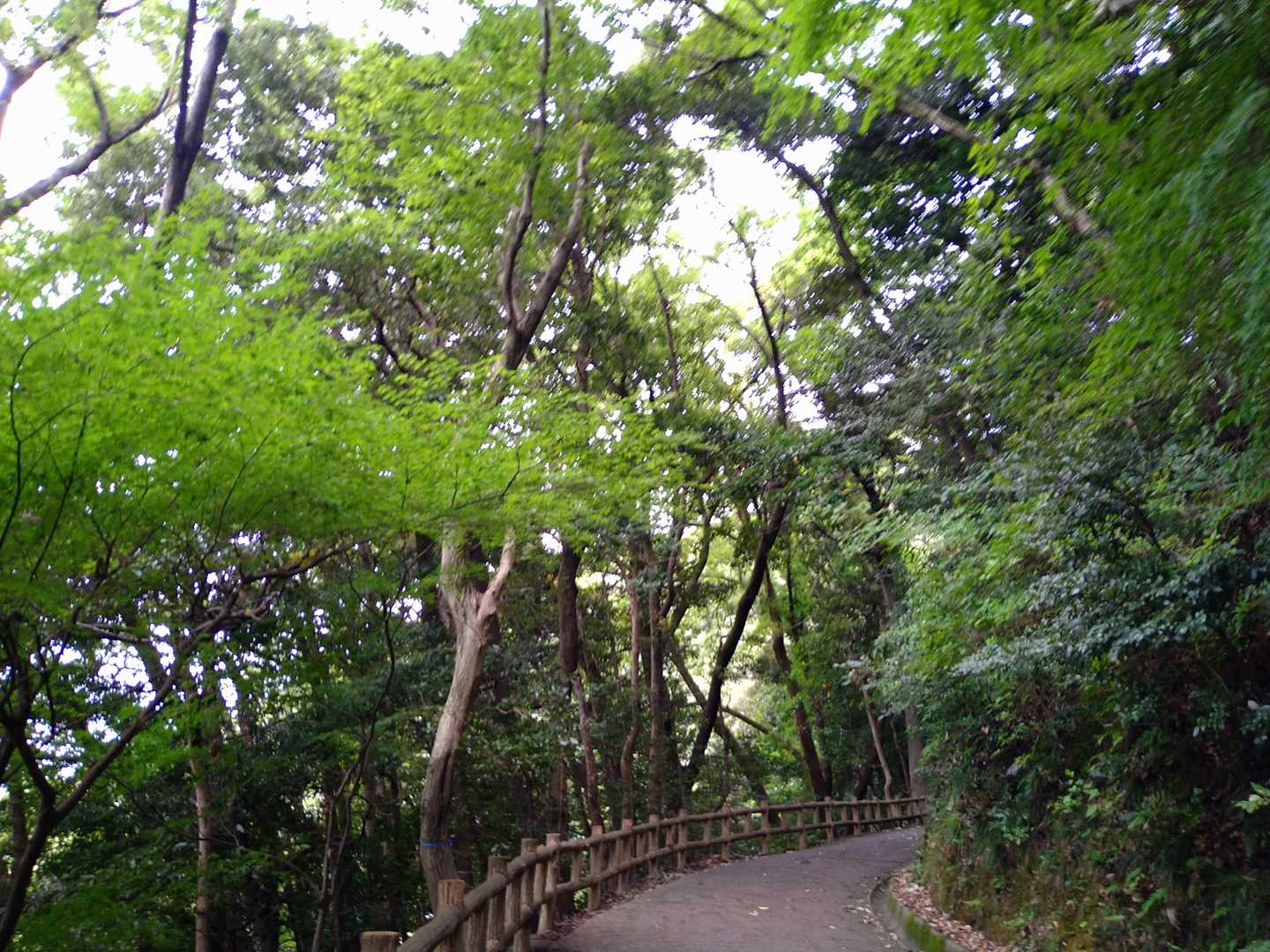 天筒入口 往復コースの写真