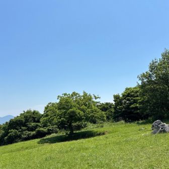広々山頂　木陰にはベンチ
サイコーですね