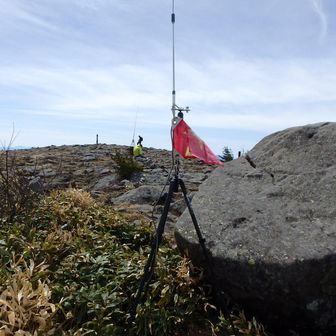 少し離れてＣＱＣＱ
