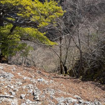 落ちたら 何処まで 落ちますかねぇ？