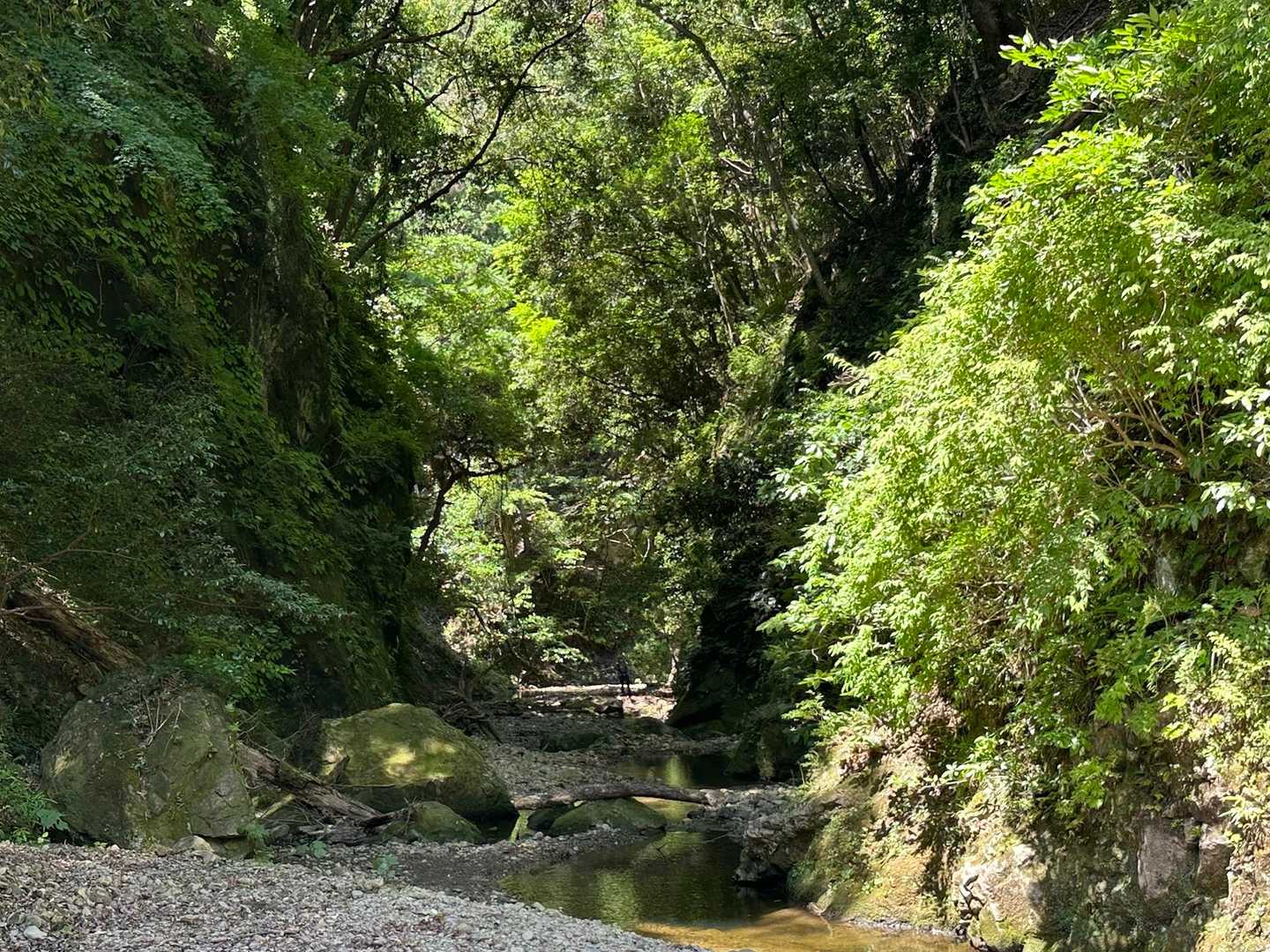 鎌倉古道 大塚山・三浦三良登山口-三浦三良山 周回コースの写真