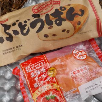休憩-3

残ってるのは
期間限定の蒸しケーキと
ぶどうぱん
これ以上ザックの中で
とちあいかが潰れたら悲しい
蒸しケーキ食べた

