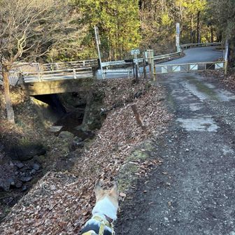 ゲートを抜けて