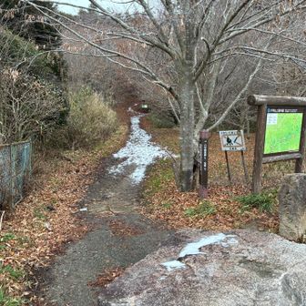 極楽茶屋跡付近で分岐。全山コースと別れる。