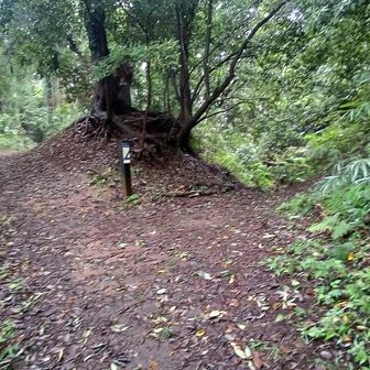 出羽三山供養塔がある七国峠