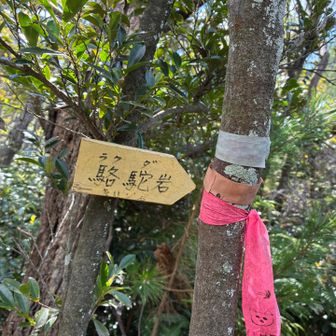 今回は、南山崖を回ります🚶
さらに今回は岩🪨ポイントを行ってみます✨