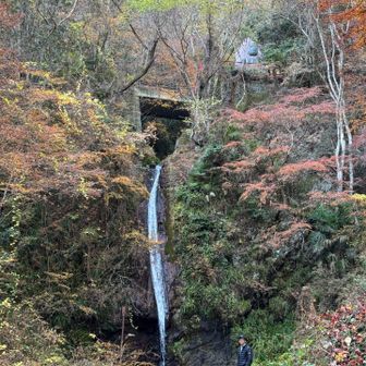 華厳の滝、滝壺に戻ってきました