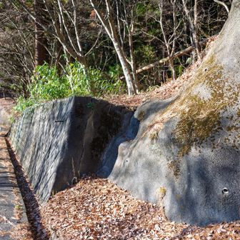 途中の分岐で舗装路に出れたけど、そのまま山道を進んだら道繋がってなくてここから出てきました