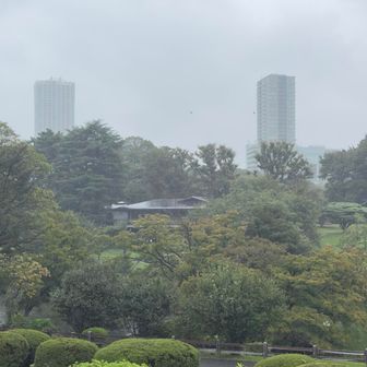 新宿御苑の眺望👀