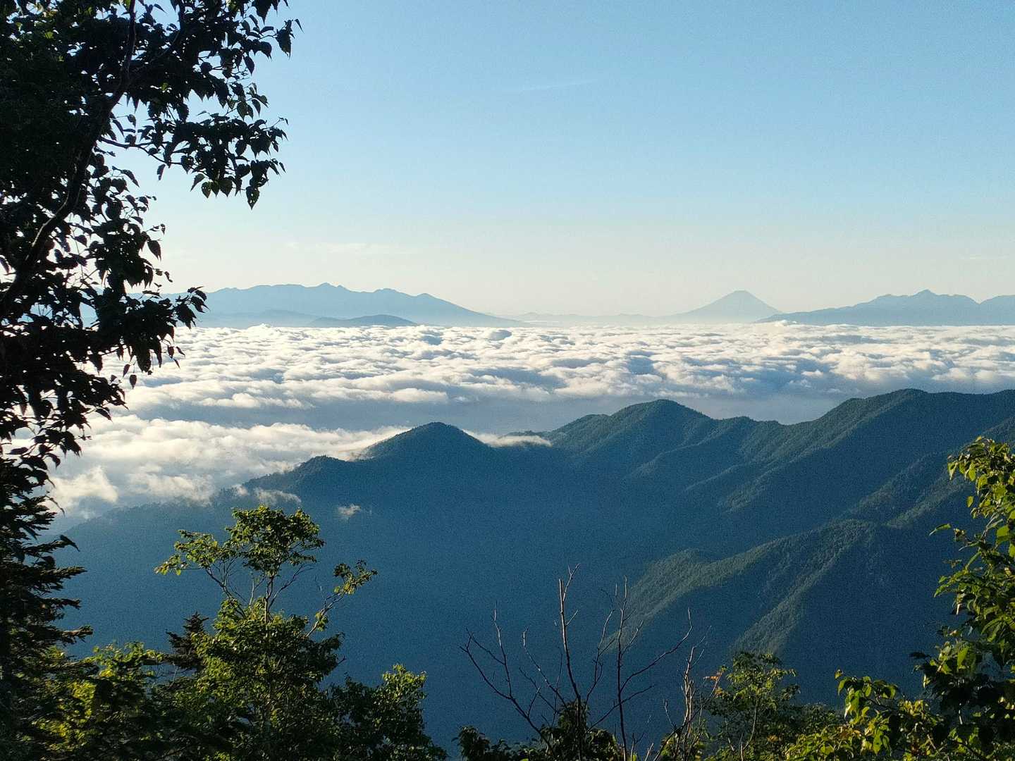 富士山と八ヶ岳と雲海
最高の組み合わせ！