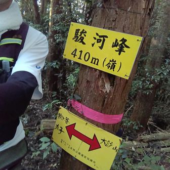 駿河峰到着。今回は「顔無し」の自撮りバージョンで。