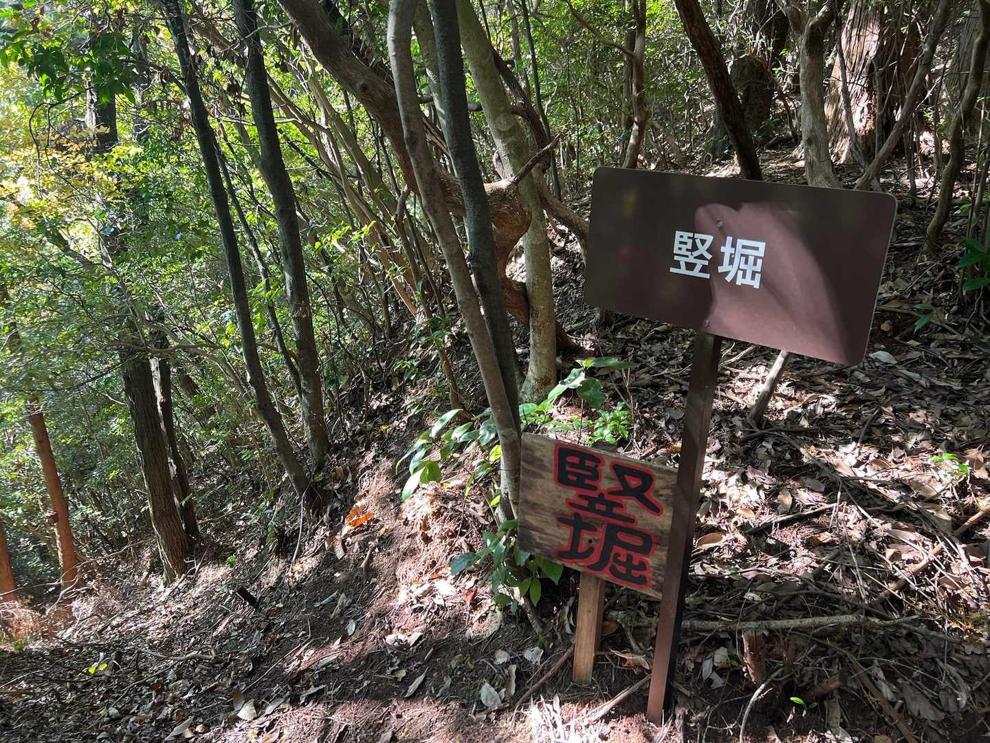 日龍峯寺-高沢山-大仏山-本城山 周回コースの写真