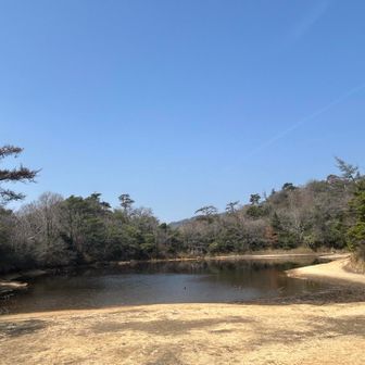 横池🫧
この辺からは人がバラけてぼっちでボチボチ🏃‍♀️
