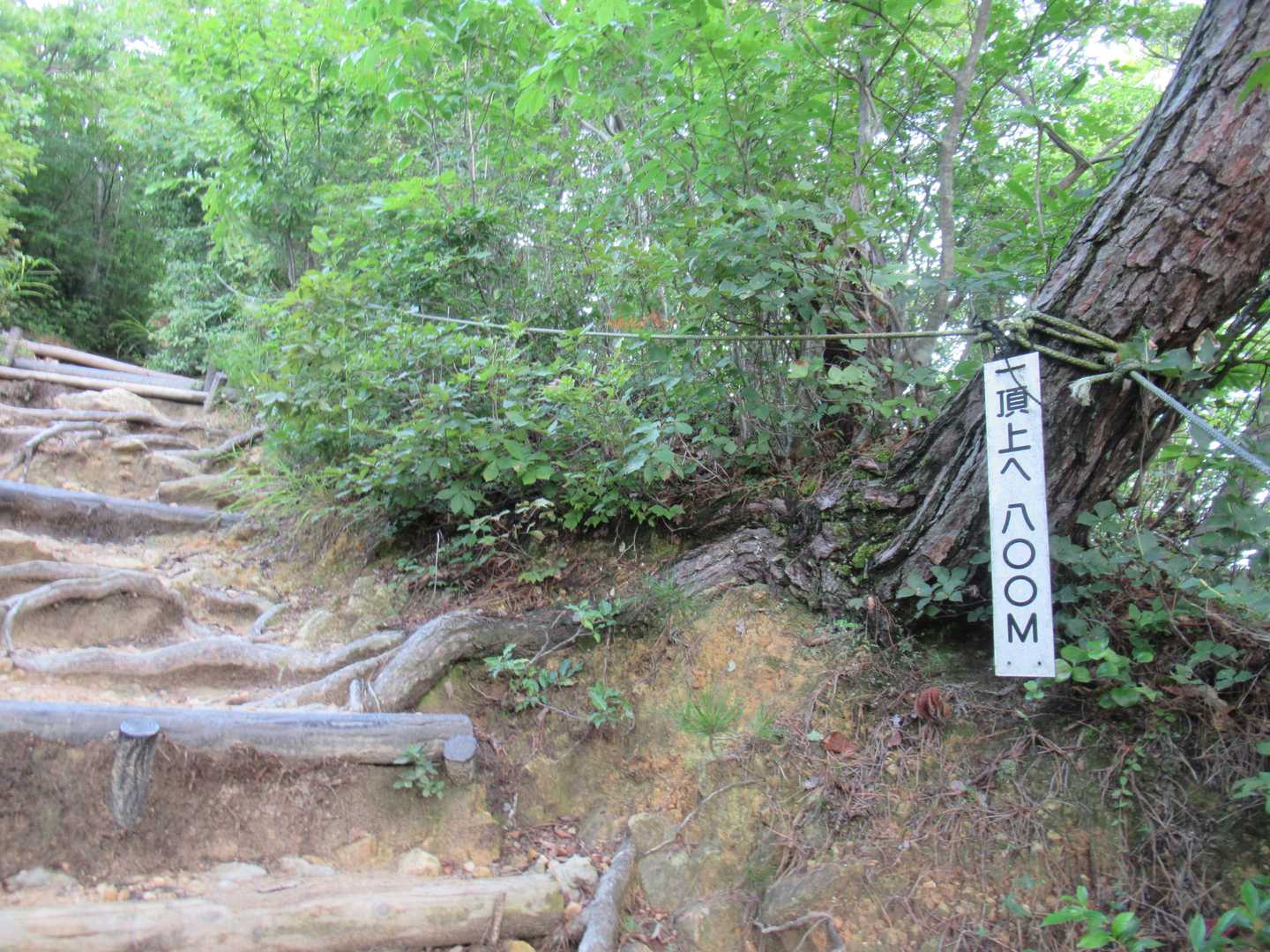 タイムアタック中だと「まだ半分も来てないのかよ」とガッカリしてしまう看板。