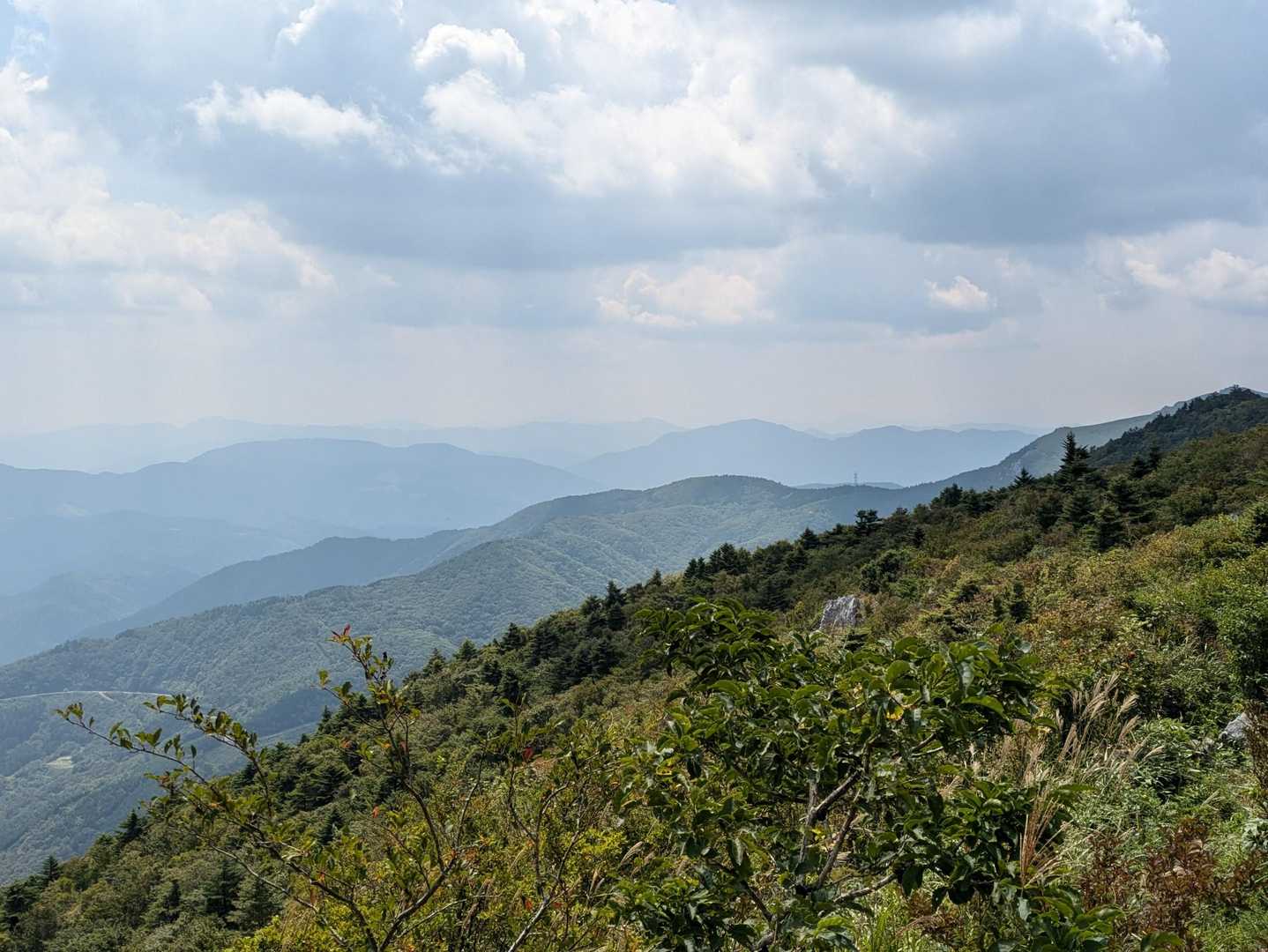 天狗ノ森 -黒滝山 周回コースの写真