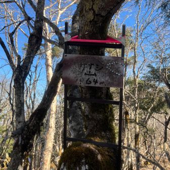 毛無山最高点。先行者が見つけてくれてなければ素通りでした。