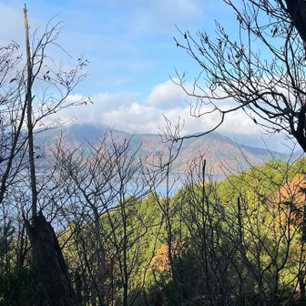 琵琶湖がチラッと👀