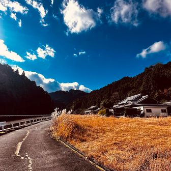 なんとかと秋の空🍂