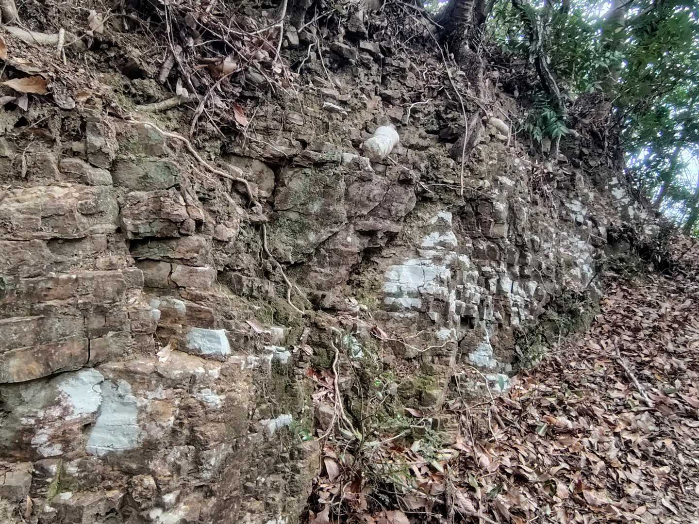地層