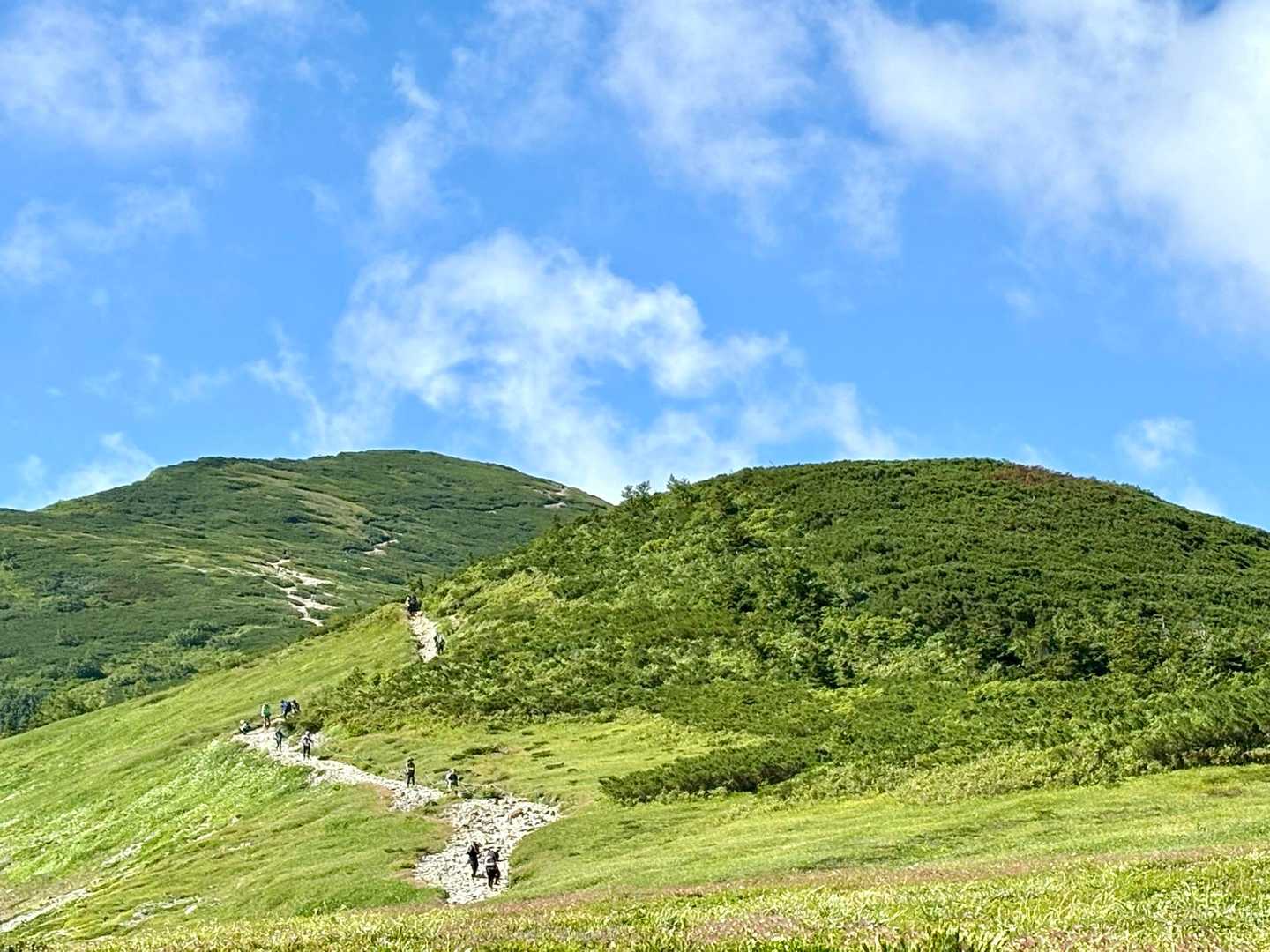 開けました🤩