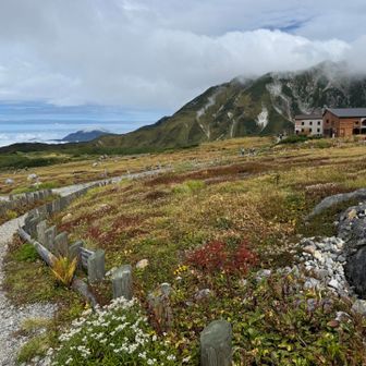 無事に室堂に下山
