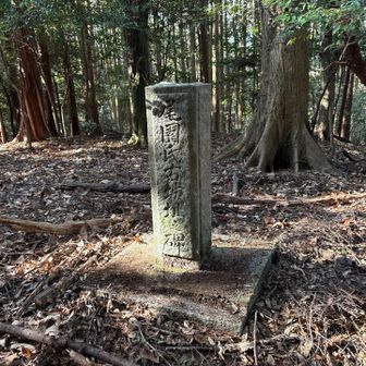 社の裏山に尾園氏古城祉之碑が立つ山頂が6座目の尾園城山🏯

その後、長い尾根歩きの
地味にアップダウンが続く

