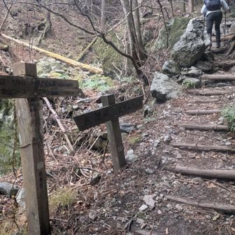 分岐についたらここから土の登山道。